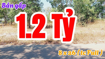 Đất Dầu Tiếng | bán gấp lô đât thổ cư 100% 8 x 26 ( Tc Full ) #617