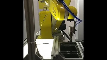 Robotic inspection and Sorting