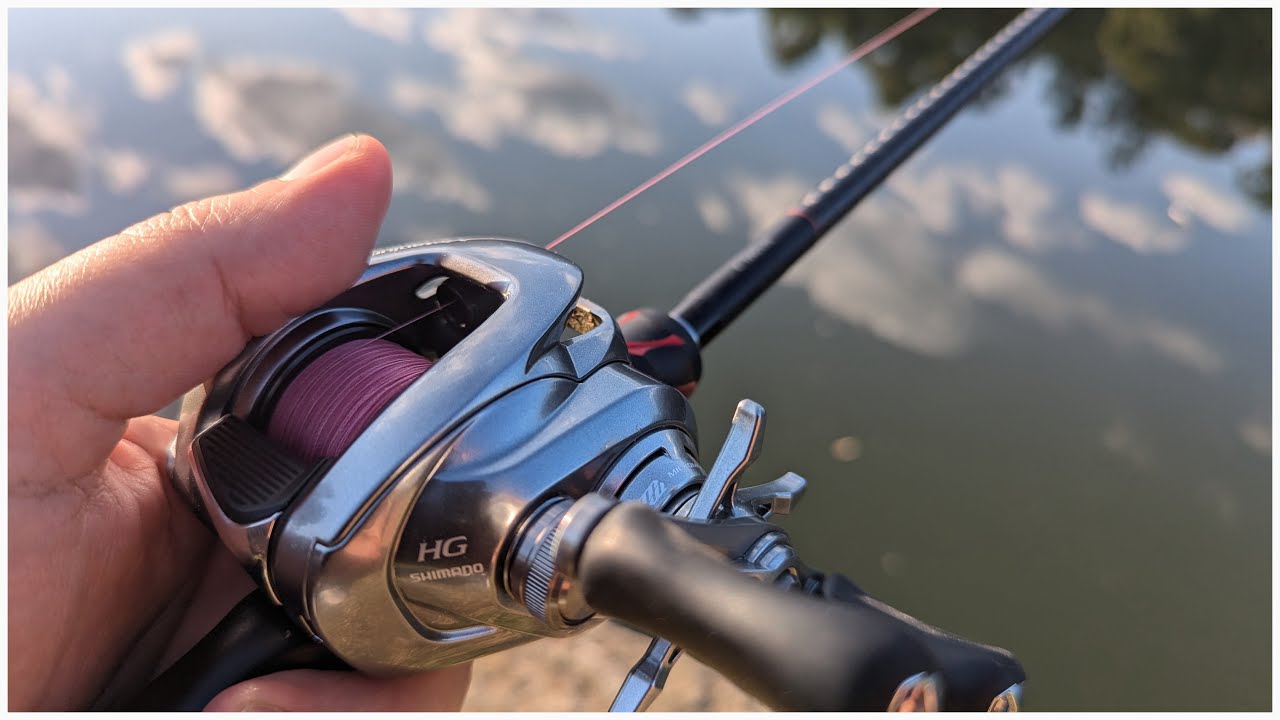 Chasing Urban Freshwater Predators – Land Based Bass Fishing Sydney