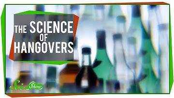 The Science of Hangovers