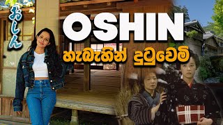 පුංචි කාලේ බලපු ඔෂීන් කතාවේ රියැලිටිය | JAPANESE COUNTRY SIDE with CHILDHOOD MEMORIES