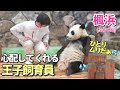 【赤ちゃんパンダ】楓浜(ふうひん)🐼感動♡優しすぎる飼育員さんに感謝した日☆ママがいなくても大丈夫❗️