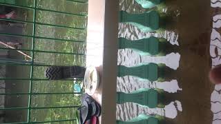 Ulan Ulaaaaan Baha Bahaaaaa