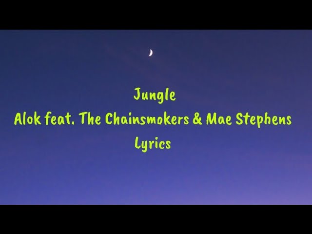 Alok, The Chainsmokers & Mae Stephens - Jungle (Lyrics) 