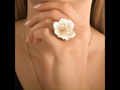 Roberto Bravo: White