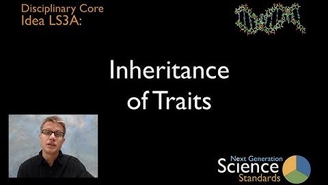 LS3A   Inheritance of Traits