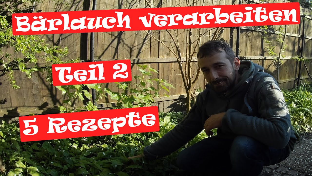 Bärlauch verarbeiten Teil 2