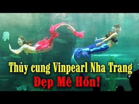 thủy-cung-vinpearl-land-nha-trang-water-park-Đẹp-mê-hồn-2017