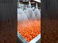 Satisfying Industrial Tomato Juice Bottling Process #factory #manufacturing #food #farming #viral
