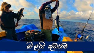 මහ මුහුදේ බලමාලු ඇල්ලීම | skipjack tuna fishing | @wishwatiyubaya 🎣😲🎯