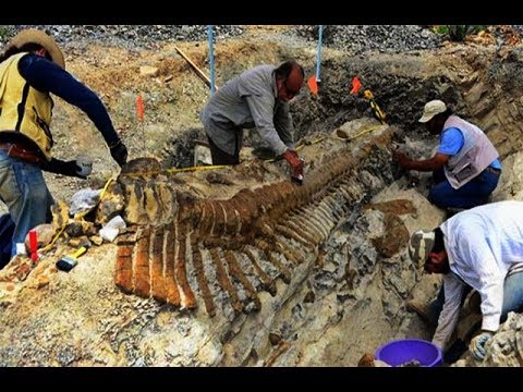 Video: Cheksiz Dasht Kemasi