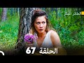 مسلسل الطائر المبكر الحلقة 67 دوبلاج عربي مسلسل الطائر المبكر الحلقة 67 دوبلاج عربي