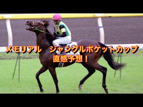 メモリアル　ジャングルポケットカップ  直感予想！