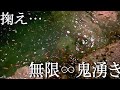 【鬼湧き】ホタルイカ5秒掬って1キロ捕れる！糸魚川富山湾の神秘2021