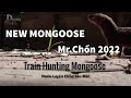 Tân Mr Chồn Tái Xuất-My Mongoose 2022