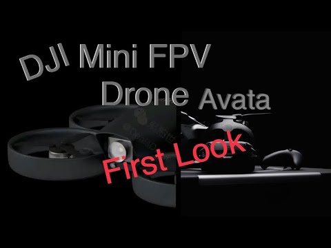 First Look, The DJI Mini FPV Drone Avata