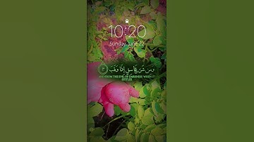 #سورة_الفلق #اكسبلور #المصحف #villagelife #الرحمن #لايك #القزابري #تيك_توك #ترند #الورقات
