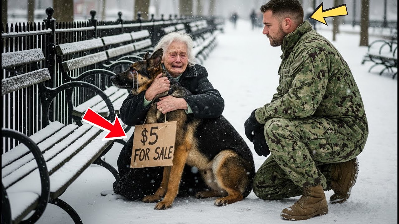 Navy SEAL Rescue Dog Story – An Old Woman Sold Her Dog for $5 Until He Stopped