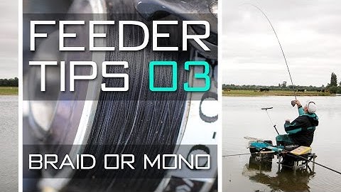 Feeder Tips With Dean Barlow – Braid Or Mono
