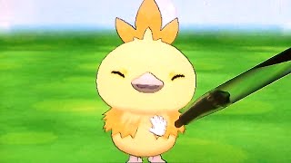 ポケモンxy ポケパルレ 色違いアチャモ 超絶かわいい W 色違い御三家 Shiny Torchic Pokemon Amie Pokemon X And Y Youtube