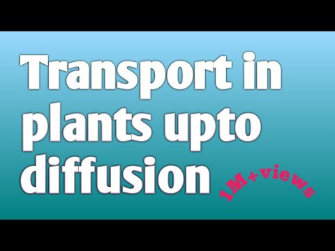 Transport in plants upto diffusion// biology pooja - YouTube