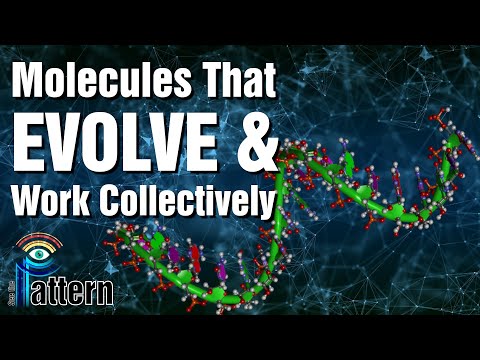 Video: Ar galima nustatyti DNR seką, kai ji replikuojama?