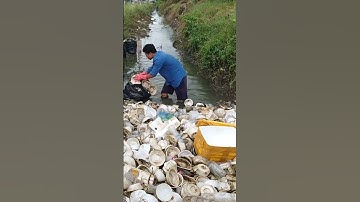 Remove plastic and garbage clogged Canal #shorts #environmentalpollution #satisfying #cleaning