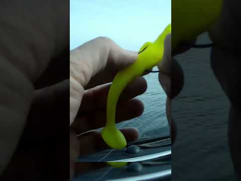 Как поймать Судака весной? #рыбалка #fishing #ловля #ловлясудака #весенняярыбалка #судак