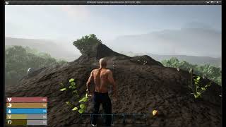 Just Playing With Ue4 14 Wearable Items And Hide Skin