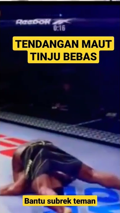 TENDANGAN MAUT TINJU BEBAS