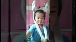 #jethro #bunny