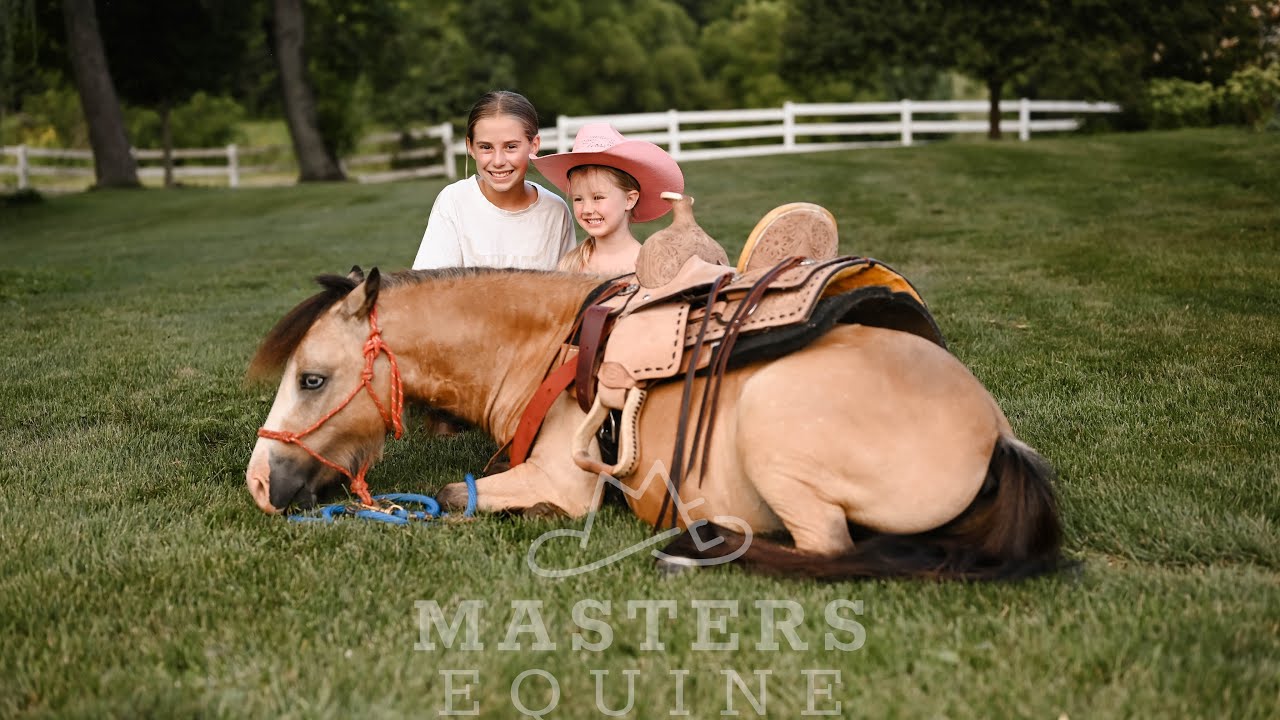 Watch Video! Kid-Safe Mini Buckskin Pony – Rides, Drives, & Does Tricks!