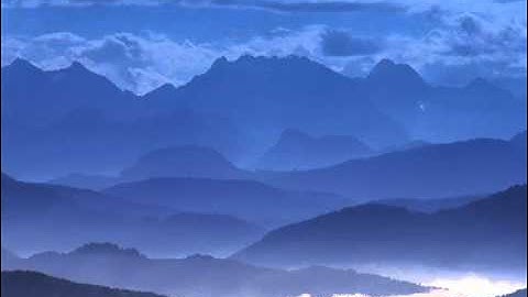 سورة القيامة   القارئ صلاح بو خاطر