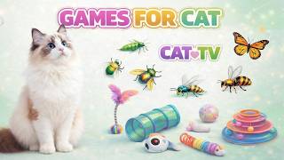 CAT GAMES 🐾 3D Cat TV Hidden Challenge Insect Swarm Cricket Hunt • Chicken Run! 😺 | 6 Hours 4K60FPS screenshot 3
