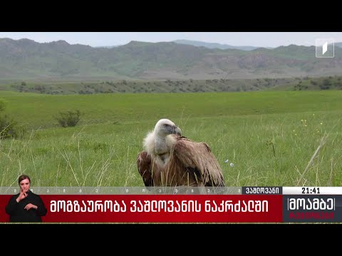 მოგზაურობა ვაშლოვანის ნაკრძალში