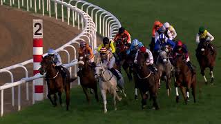 Vidéo de la course PMU THE RESILIENCE SPIRIT SPRINT