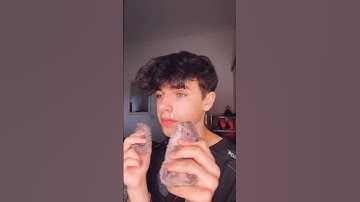 Kyle Thomas 💙 when you have no friends but you have animlas #kylethomas #shorts