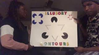 Illusory Contours: Kanizsa Figures