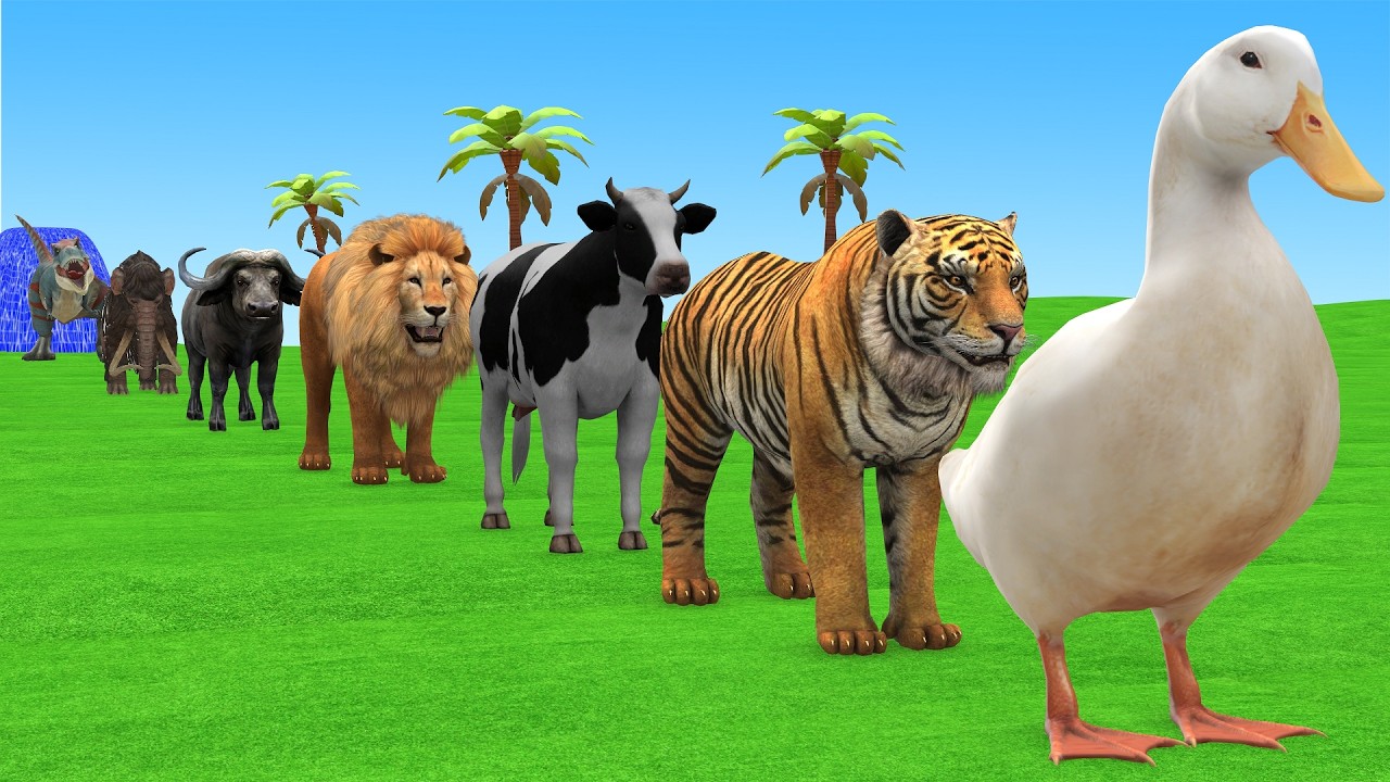 Long Slide Game With Cow Elephant Gorilla Hippopotamus Tiger 3d Animal Game Funny 3d Animals