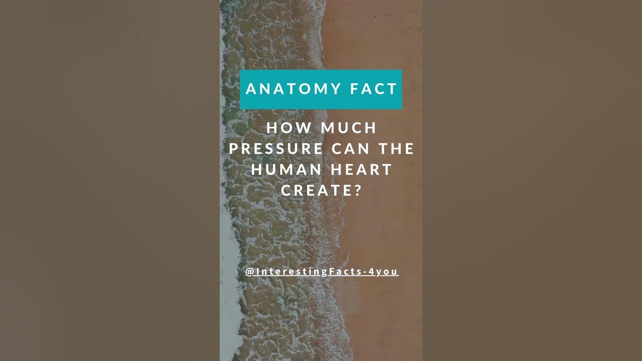 how-much-pressure-can-the-human-heart-create-shorts-heart-pressure