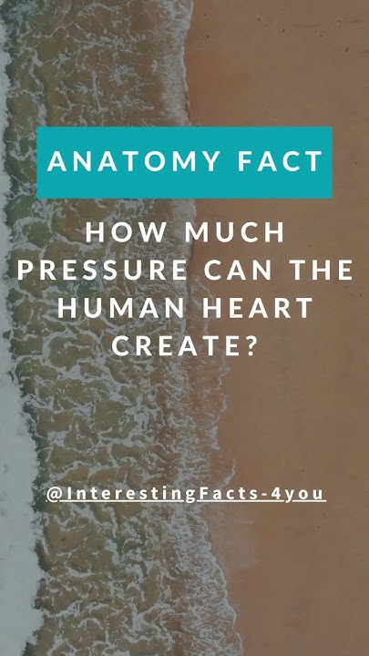 how-much-pressure-can-the-human-heart-create-shorts-heart-pressure
