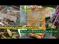 Sangkar burung pleci dari bahan bekas