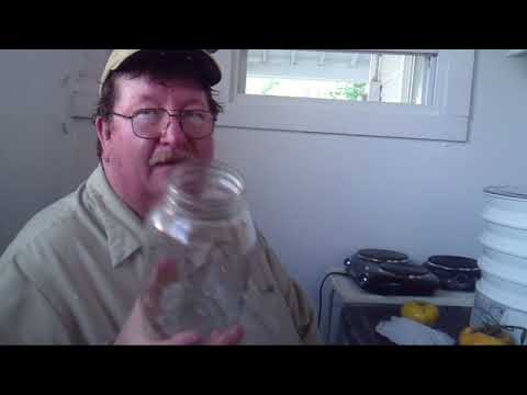 Homesteading - Tomato Seed Saving by Vinegration