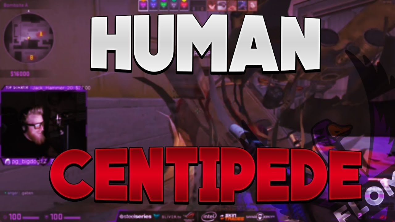 HUMAN CENTIPEDE Stream Highlights 187 YouTube