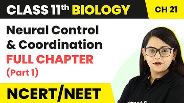 Class 11 Biology Chapter 21 | Neural Control and Coordination Full Chapter Explanation (Part 1)