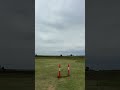 Eclipson model B v2 3d printed plane maiden flight#eclipson #3dprinted #3dprintedrcplane