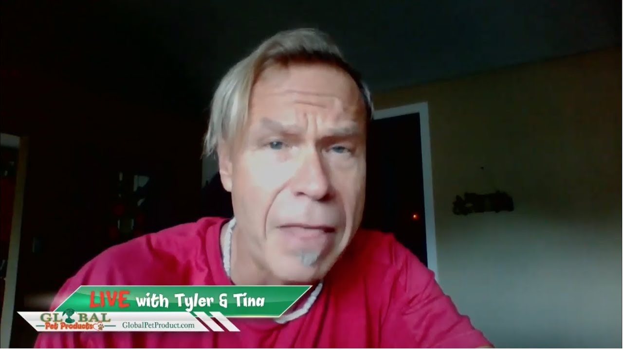 dog running boots Best Dog Shoes dog running boots YouTube