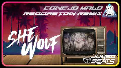 Bao Numi Sinder She Wolf Shakira Cover Conejo Malo Reggaeton Remix 