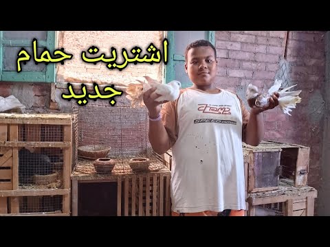 تعالوا شوفوا اشتريت حمام جديد اللهم بارك حلويات
