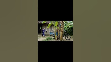 Bà và Capybara | Capy chạy xe ba gác #capybara #funny #ytshorts #haihuoc #giaitri #shorts #fyp